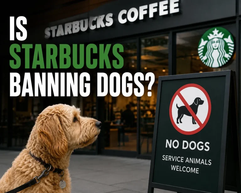 Is starbucks banning dogs